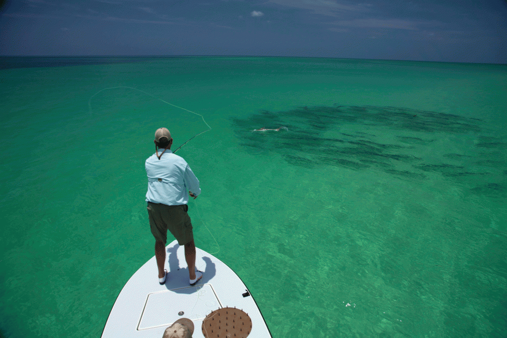 John Davis casts into a school of daisy chaining Tarpon off Key West