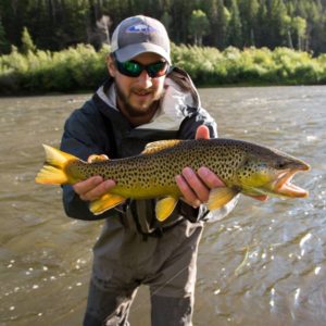 A wild brown trout from southeastern Wyoming