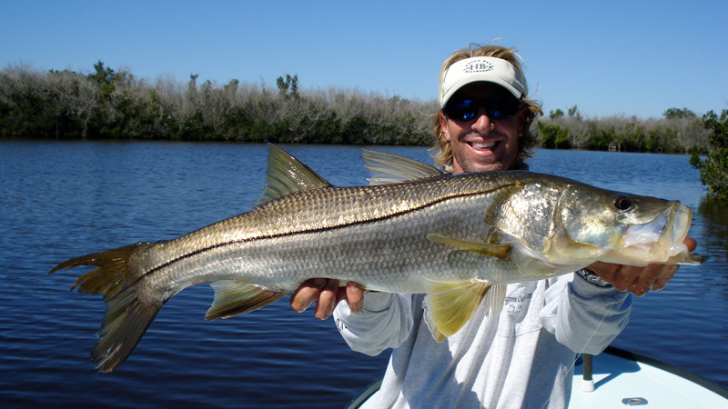 Captain Jeff Legutki holds a beautiful everglades snook he caught on fly