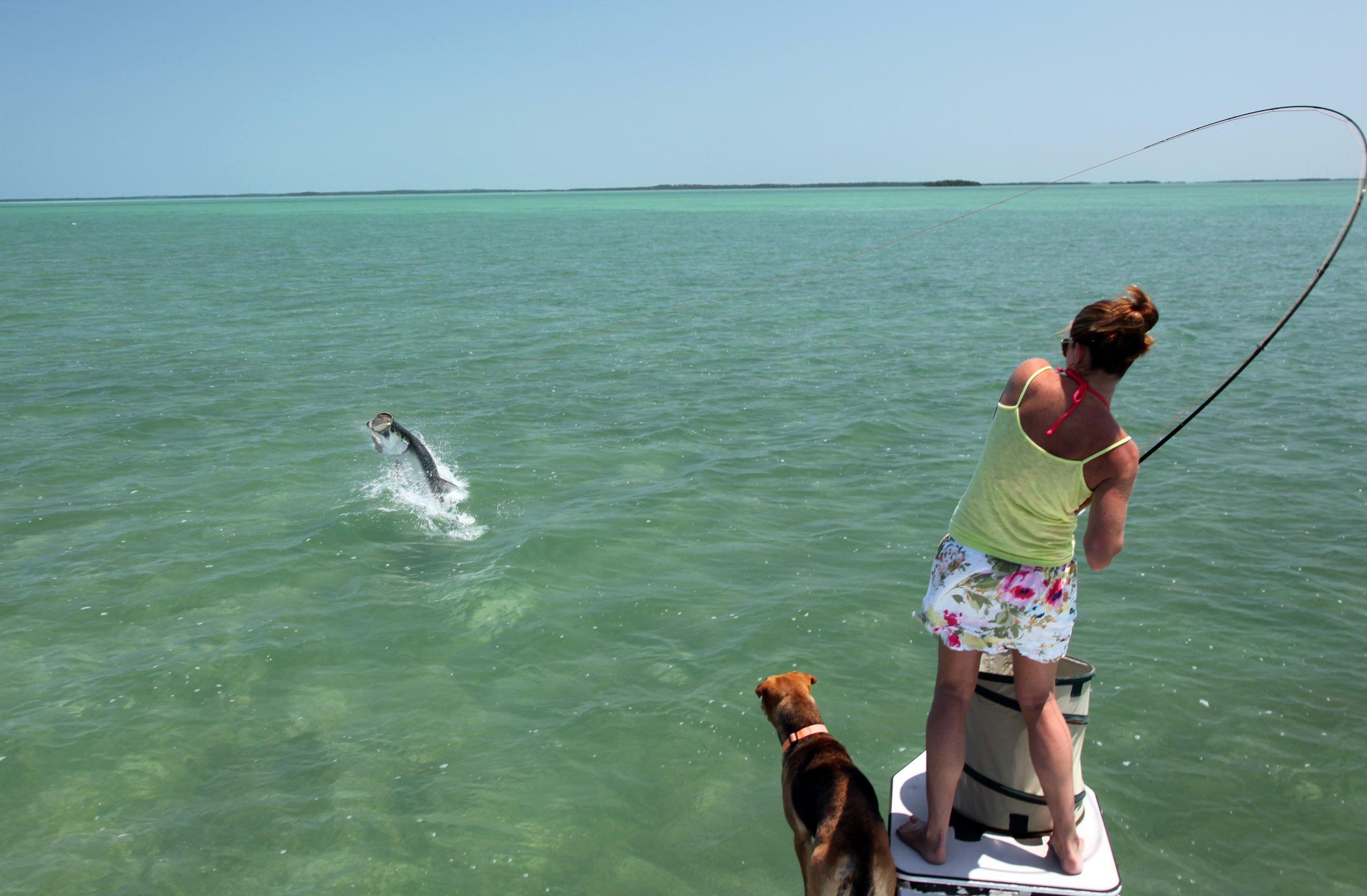 Professional Guides Key West Fly Fishing