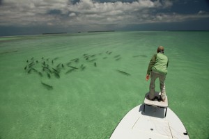 Fly Fishing For Tarpon in Key West, and Florida Keys