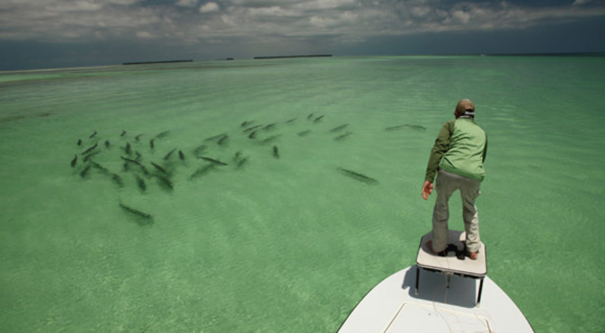 Florida Keys Tarpon Fishing