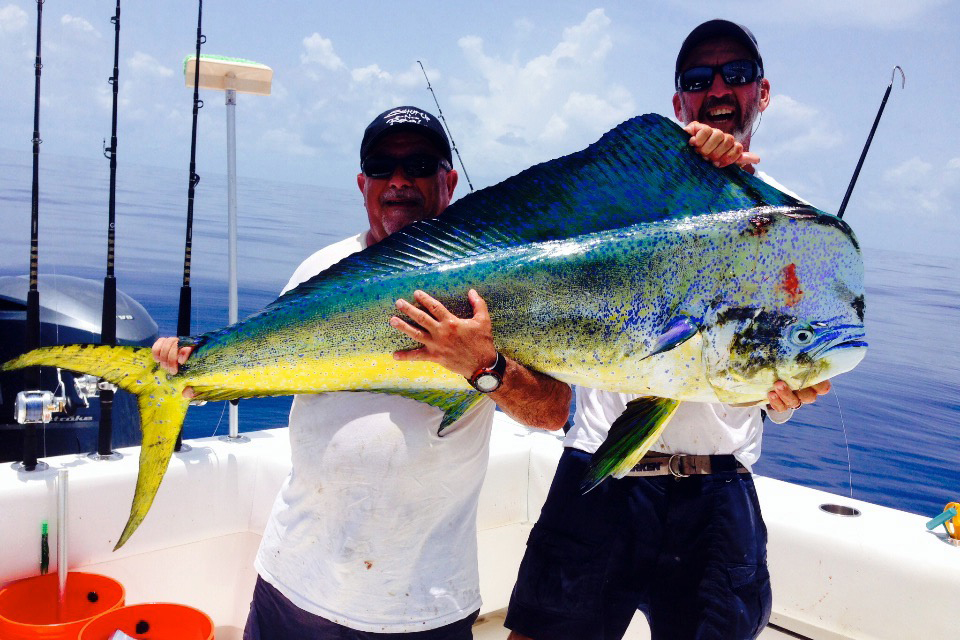 Captain Mike Wienhofer holds up a giant bull dolphin caught in the blue waters south of Key West